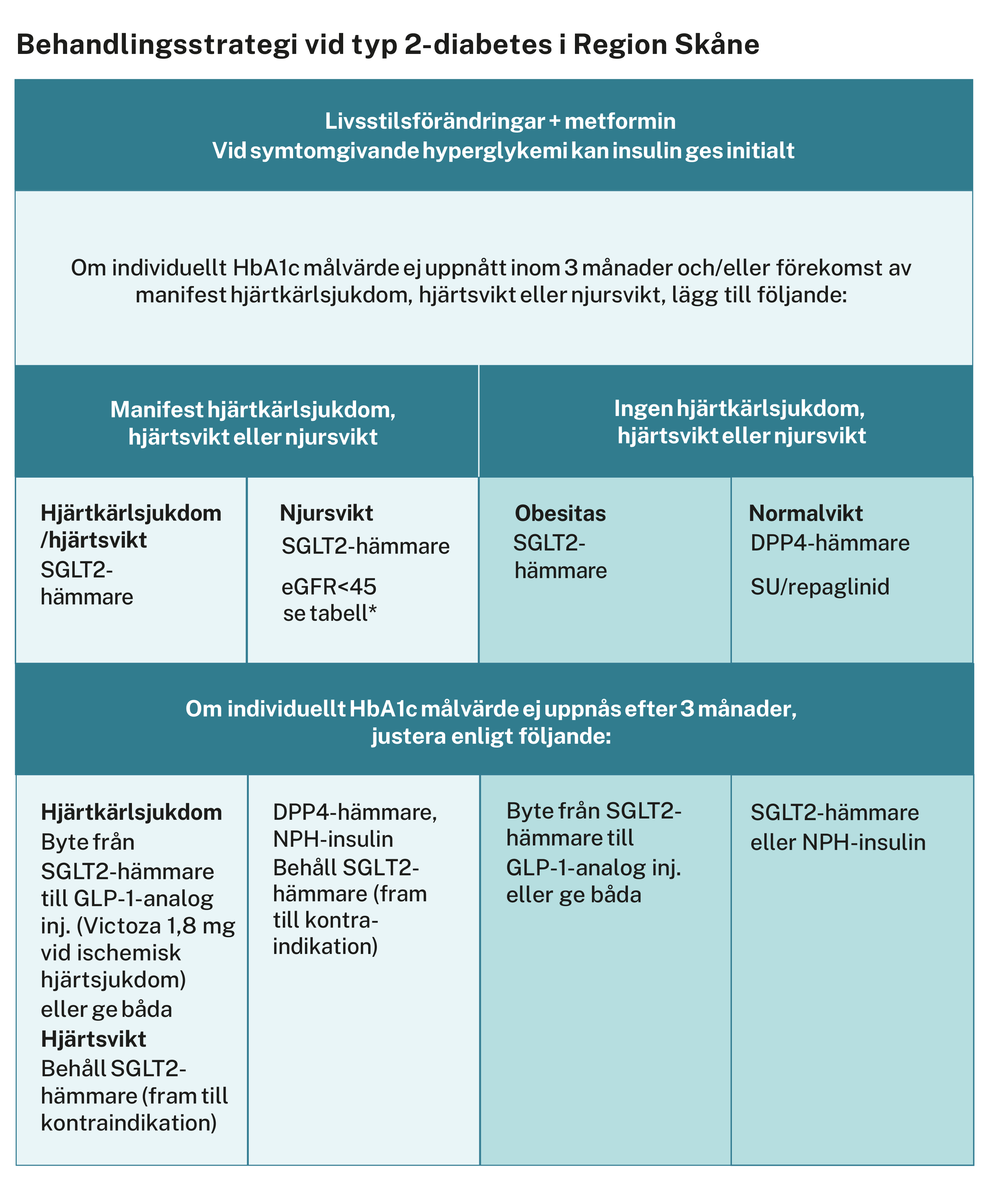 Behandlingsstrategi vid typ 2- diabetes i Region Skåne